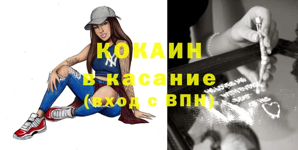 стаф Арсеньев