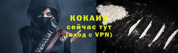 стаф Арсеньев