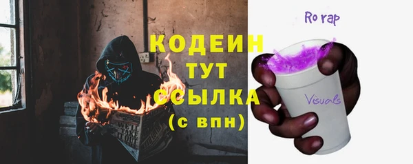 стаф Арсеньев