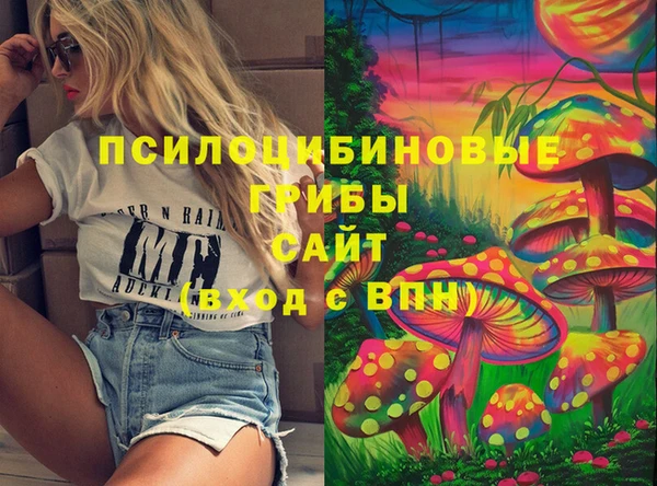 стаф Арсеньев