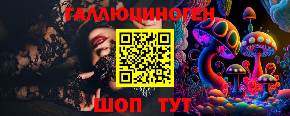 Псилоцибиновые грибы Psilocybine cubensis Курганинск